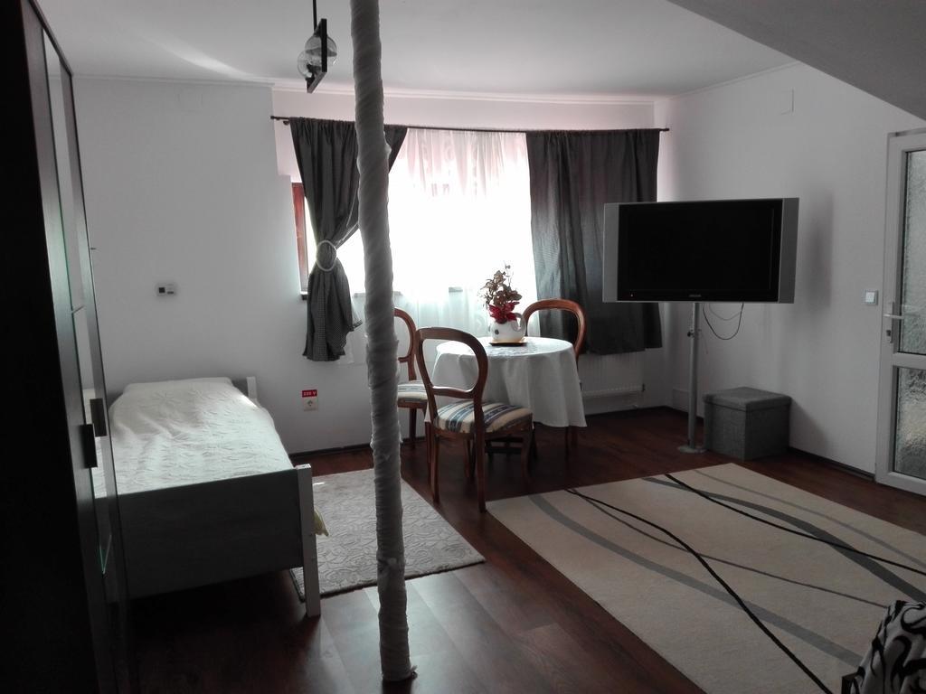Pensiunea Casa Elena Agnita Buitenkant foto